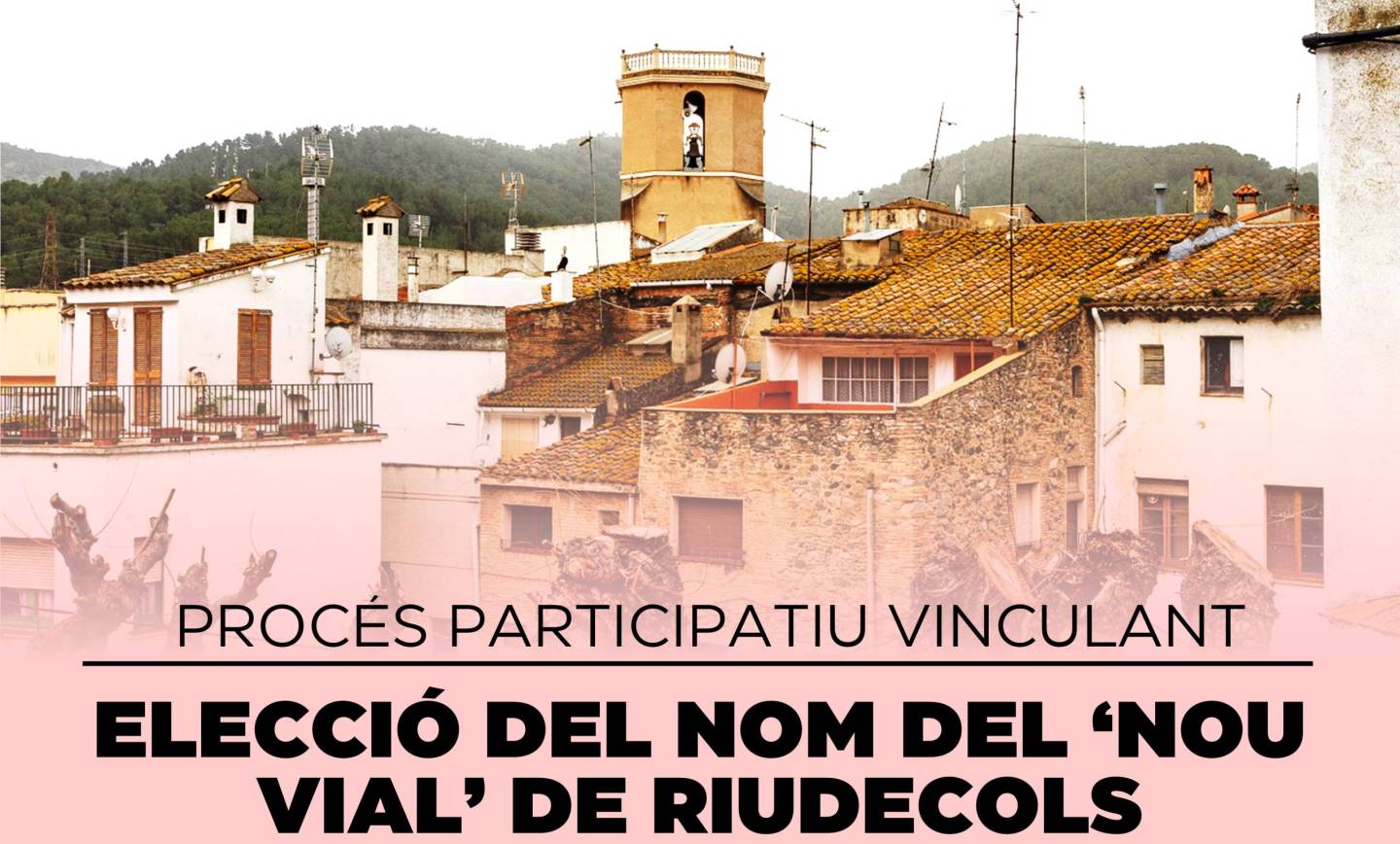 Resultats de la primera ronda del procés participatiu per posar nom al Nou Vial de Riudecols