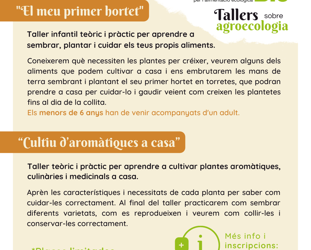 Taller gratuït de plantes aromàtiques