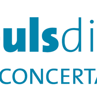 Actuacions finançades amb el suport del Pla ImpulsDipta